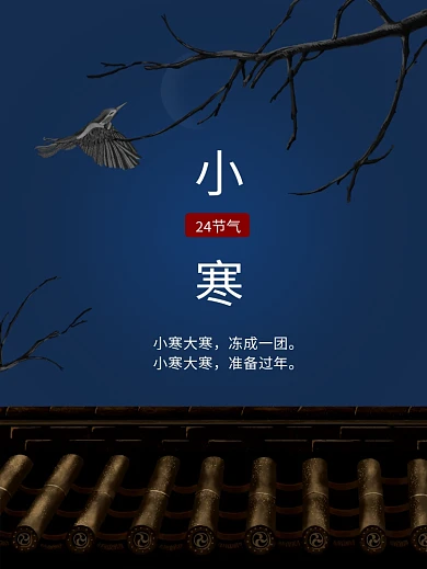 24节气小寒大寒海报插画