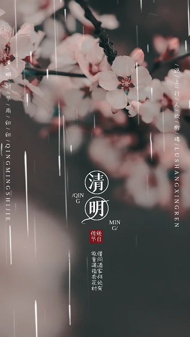 唯美中国风二十四节气传统节日清明节海报