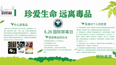 珍爱生命远离毒品国际禁毒日展板
