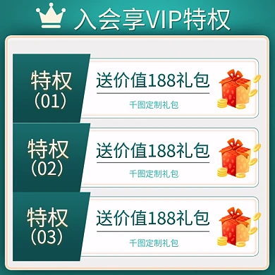 电商淘宝服装鞋业VIP会员特权主图