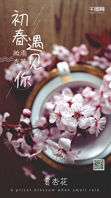 春季粉色唯美朋友圈赏杏花文艺海报
