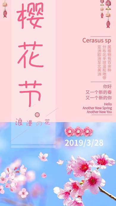 简洁清新樱花节手机海报