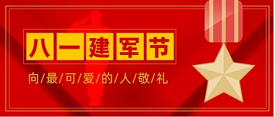 红色大气简约建军节敬礼宣传