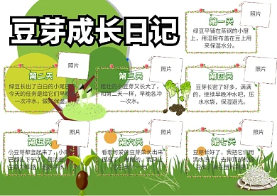 豆芽成长日记动植物观察小报手抄报模板