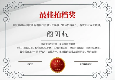 简约最佳拍档奖年终奖荣誉证书