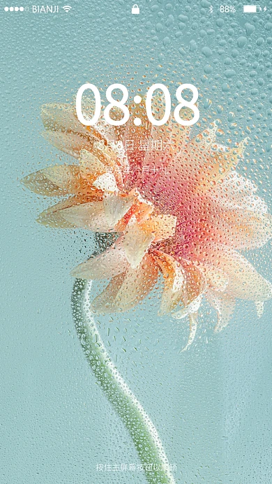 文艺小清新花水滴手机壁纸