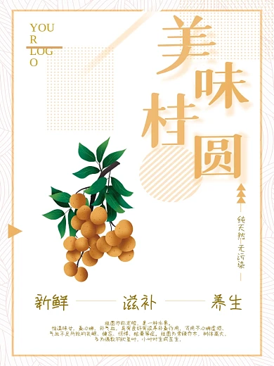简约大气桂圆美食海报