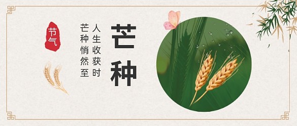 芒種節(jié)氣公眾號首圖