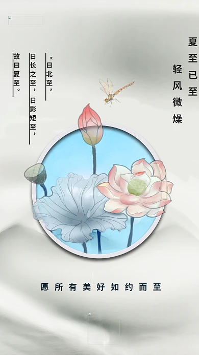 二十四节气夏至荷花灰调中国风海报