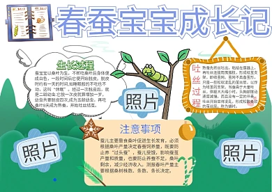 春蚕宝宝成长记卡通小学生小报模板