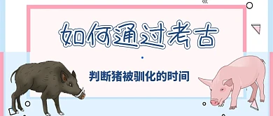 判断猪被驯化的时间公众号首图