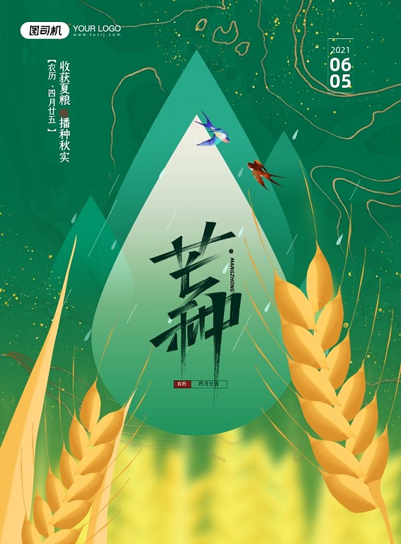 芒種節(jié)氣麥穗水滴綠色印刷海報