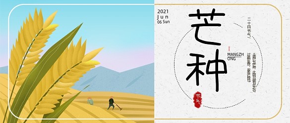 芒種節(jié)氣卡通公眾號首圖
