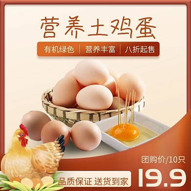 农产品营养土鸡蛋直通车主图