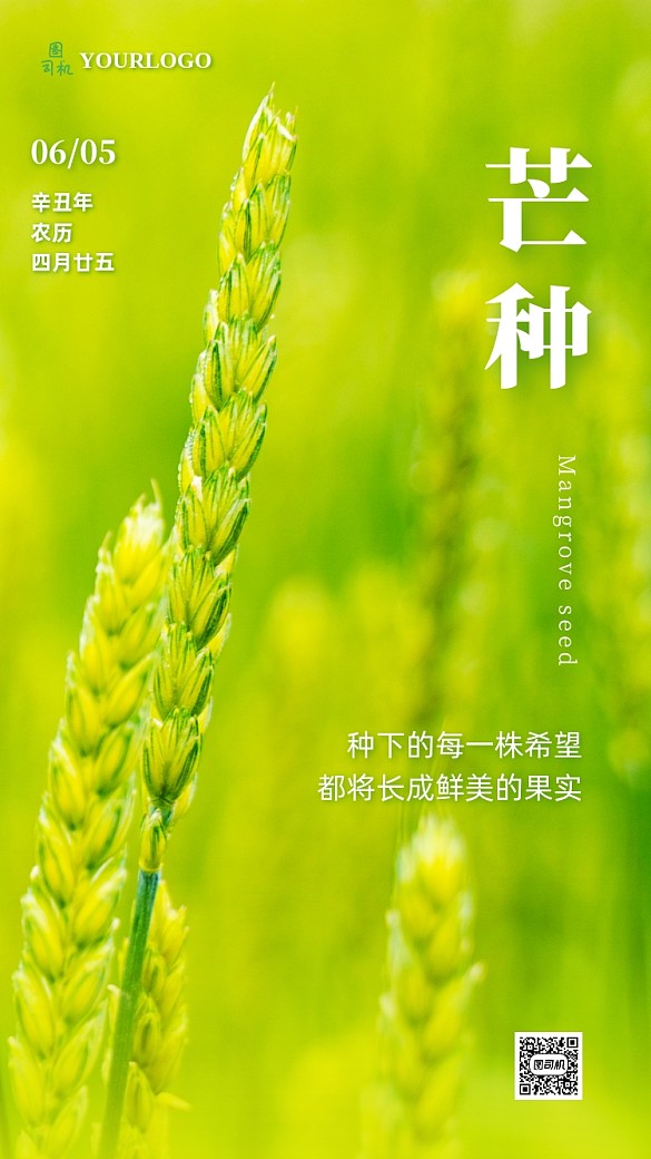 芒種節(jié)氣祝福實景手機海報