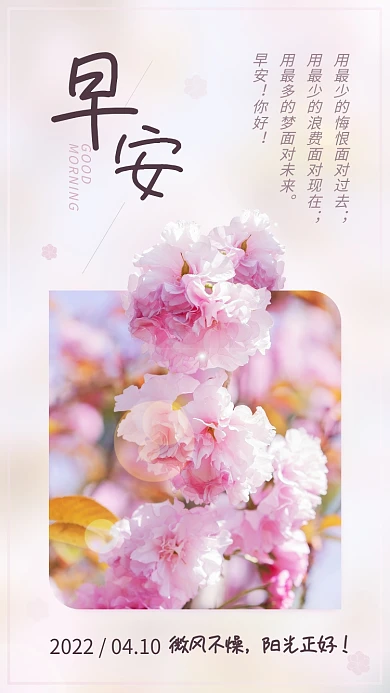 粉色樱花早安问候手机海报