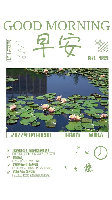 早安你好梦想正能量励志心语荷花摄影海报