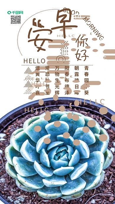 手机用图早安你好盆栽多肉