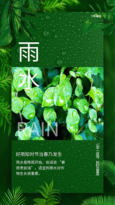 雨水节气树叶绿色清新简洁海报