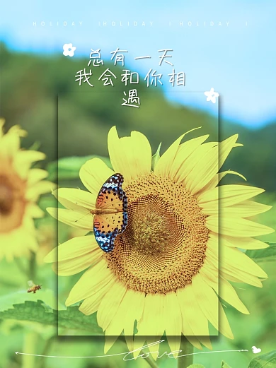 简约文艺范春日氛围感Plog