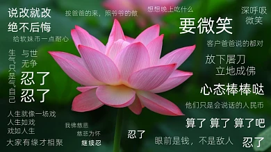 佛性唯美莲花电脑壁纸