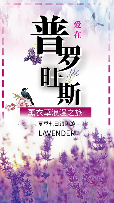 花卉普罗旺斯紫色浪漫宣传手机海报
