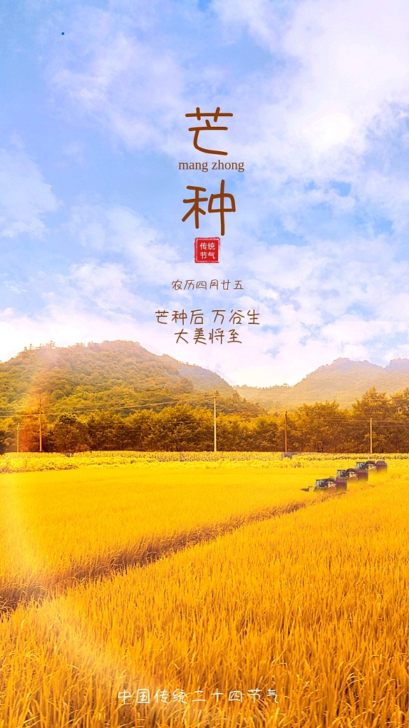 芒種節(jié)氣實景簡約手機海報