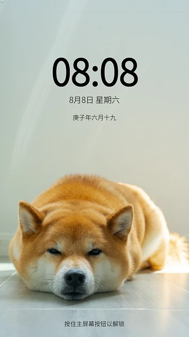 柴犬狗睡觉手机壁纸