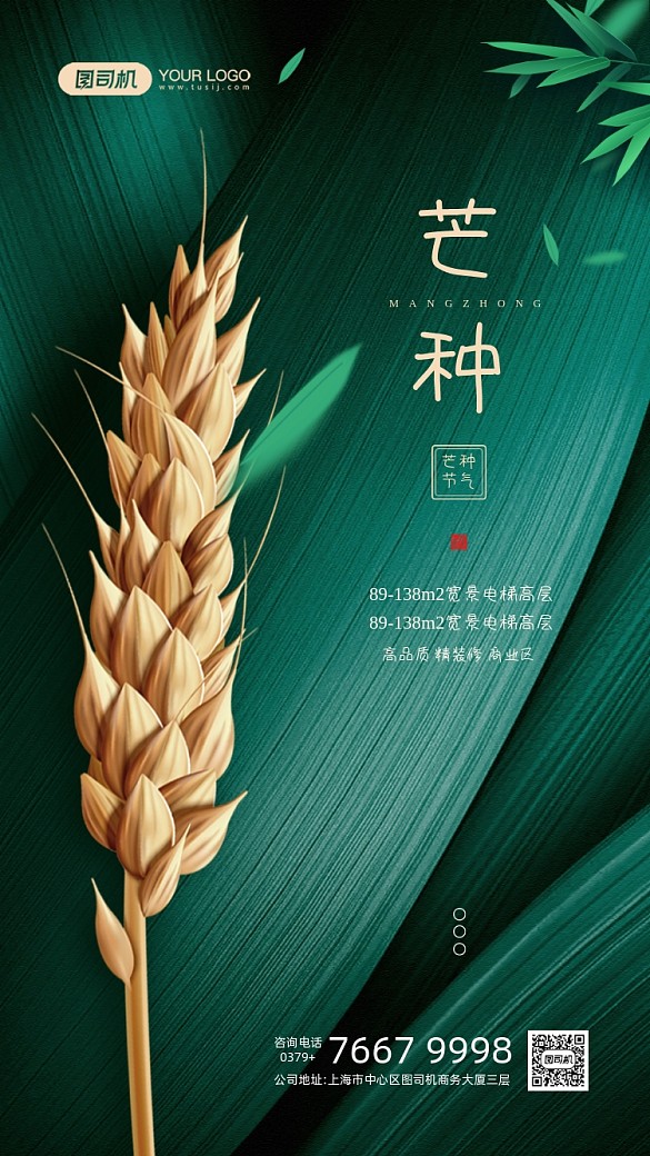 芒種節(jié)氣綠色麥穗宣傳手機海報