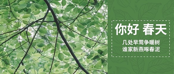 你好春天綠色小清新公眾號(hào)首圖
