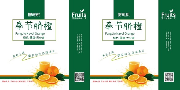 新鮮橙子綠色手提袋設計