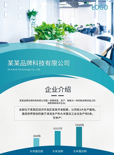 简约蓝色高级企业文化公司介绍宣传单页