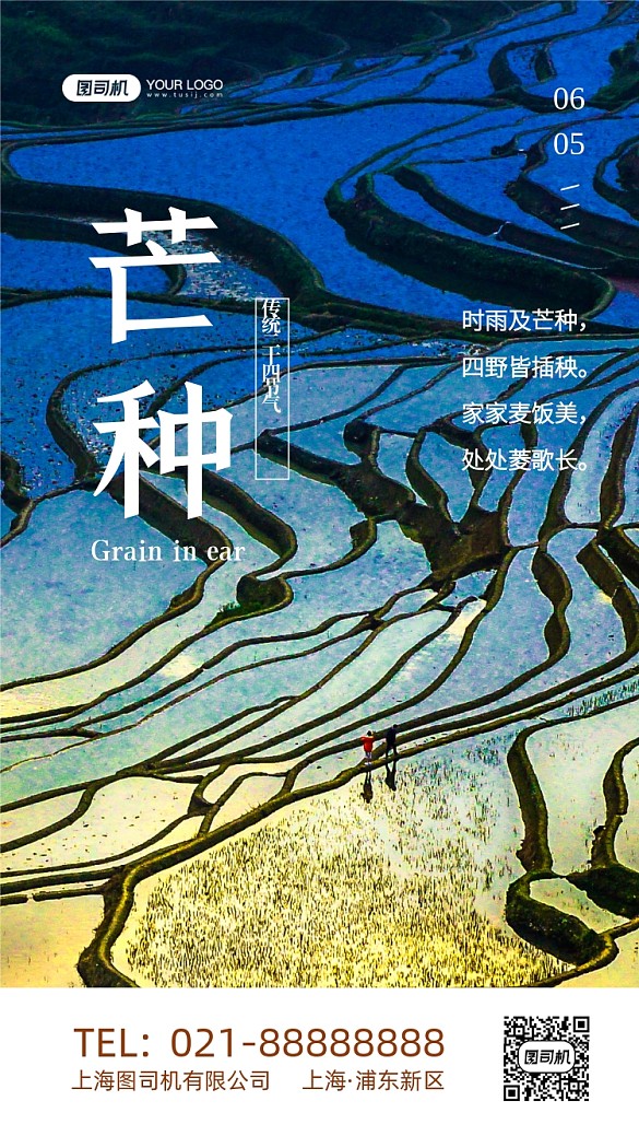 芒種二十四節(jié)氣寫實攝影圖手機海報