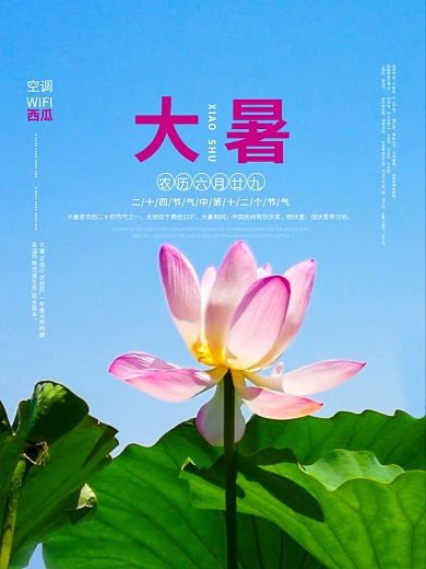 荷花大暑大暑海报夏天海报夏天
