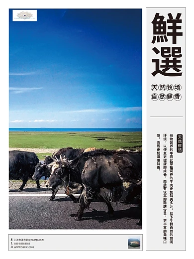 精選牛肉餐飲系列海報鮮選牛肉海报