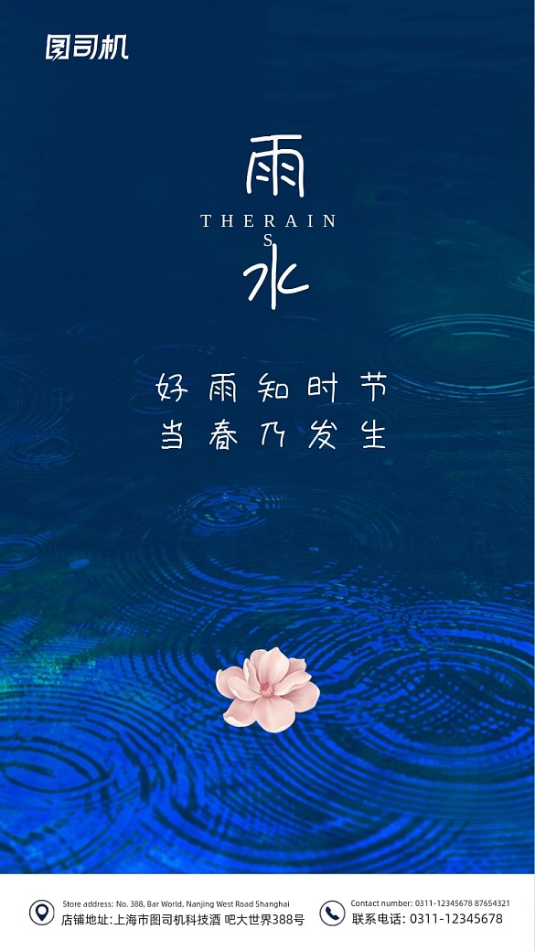 雨水節(jié)氣藍色大氣簡約手機海報