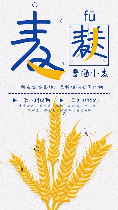小麦科普知识麦穗手机海报配图
