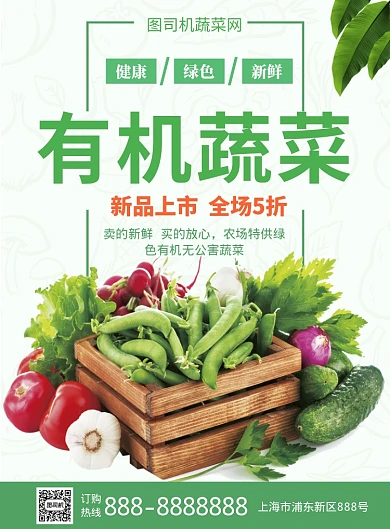 绿色有机蔬菜新品上市促销海报