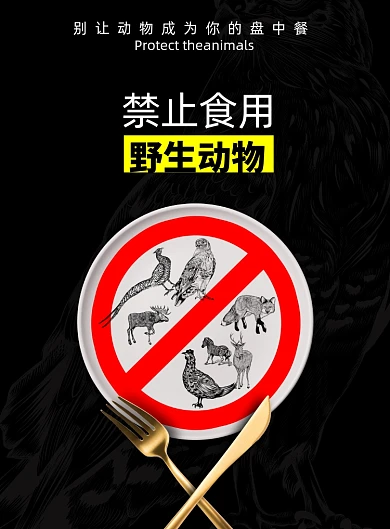 创意禁止食用野生动物海报