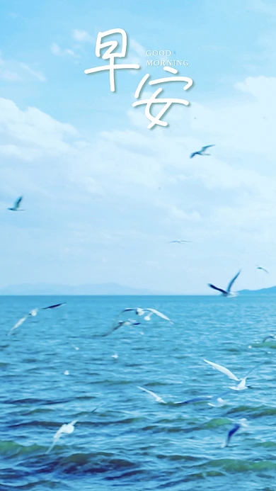 手机海报大海蓝天白云海鸥鸟海鸟海水美景