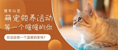萌宠领养活动喵星人公众号首图