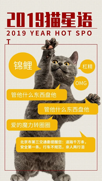 2019年网络热点猫星语海报