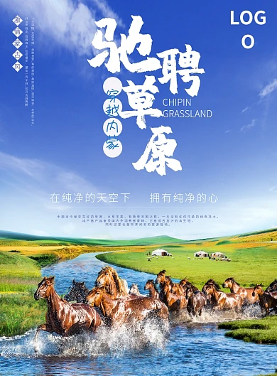 驰聘草原海报