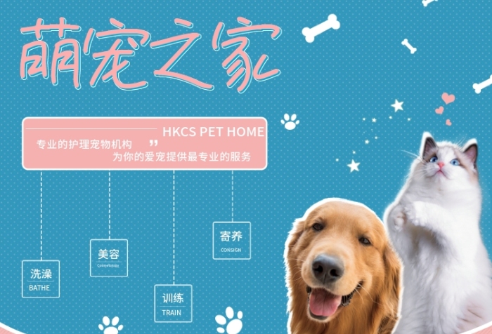 洗澡美容清新簡約寵物價(jià)目表宣傳海報(bào)
