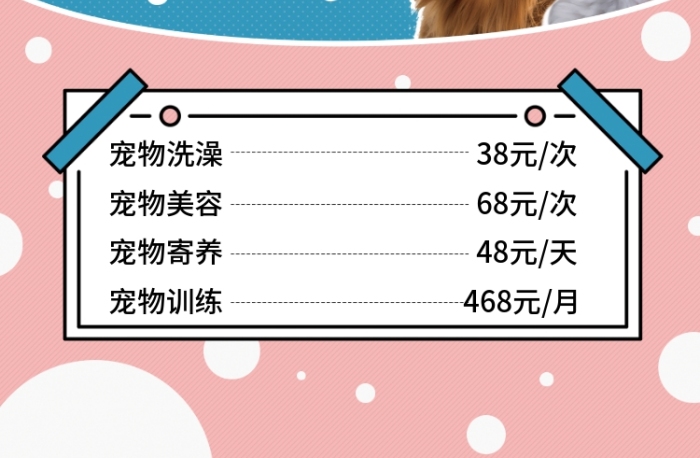 洗澡美容清新簡約寵物價(jià)目表宣傳海報(bào)
