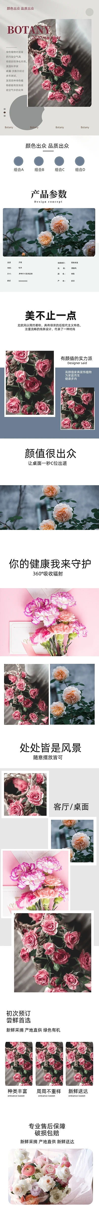 鲜花植物盆栽花卉园艺详情模板