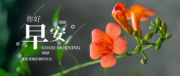 早安公眾號首圖