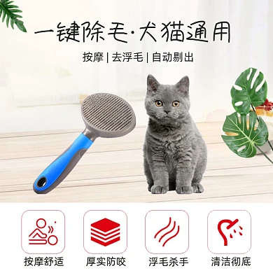 宠物梳毛工具功能介绍简约主图