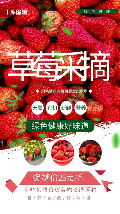 采摘草莓粉色简约海报