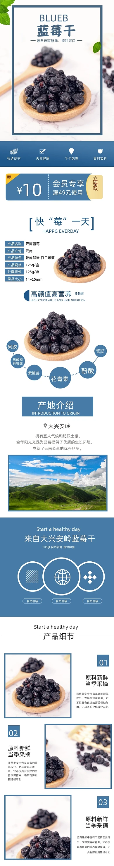 蓝莓干蓝莓水果果脯零食详情页